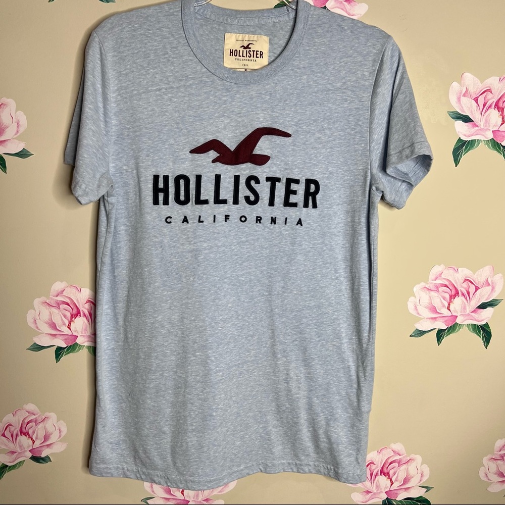 Hollister T-shirt for Men.  T-21